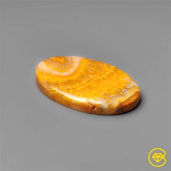 Bumble Bee Jasper