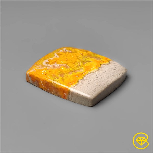 Bumble Bee Jasper