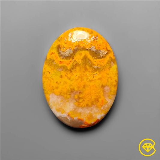 Bumble Bee Jasper