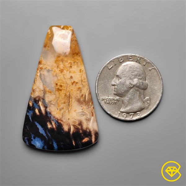 Palmroot Agate