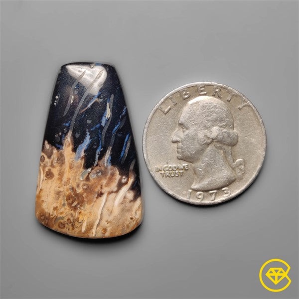 Palmroot Agate