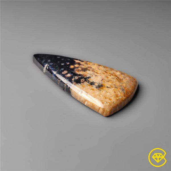 Palmroot Agate