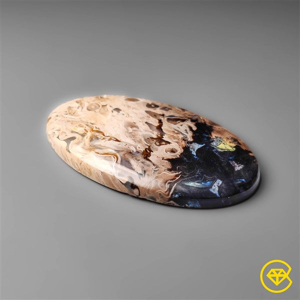 Palmroot Agate