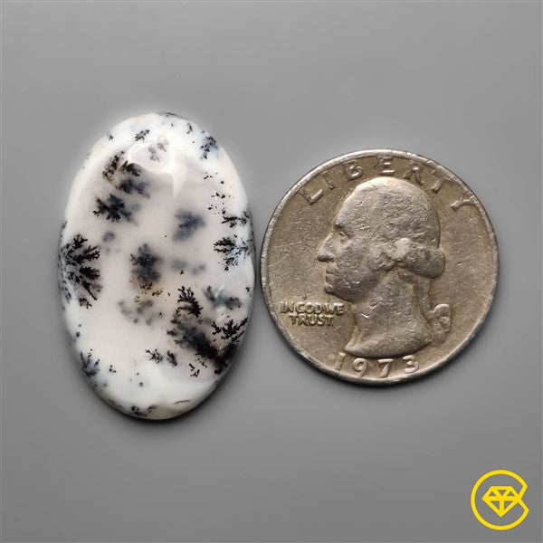 Dendritic Agate