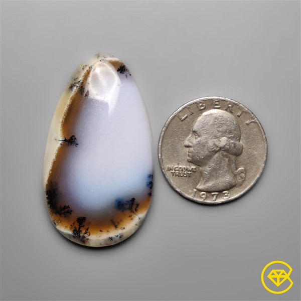 Dendritic Agate