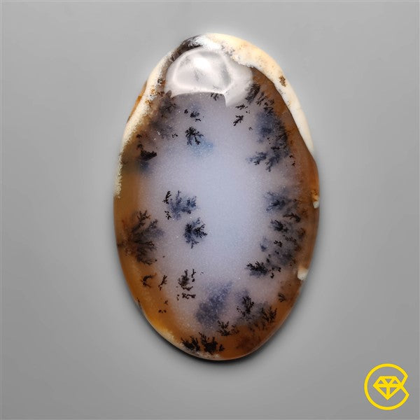 Dendritic Agate