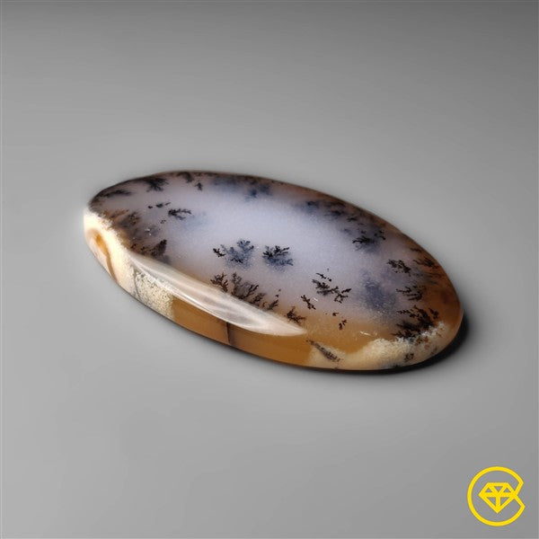 Dendritic Agate