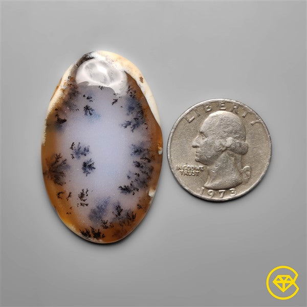 Dendritic Agate