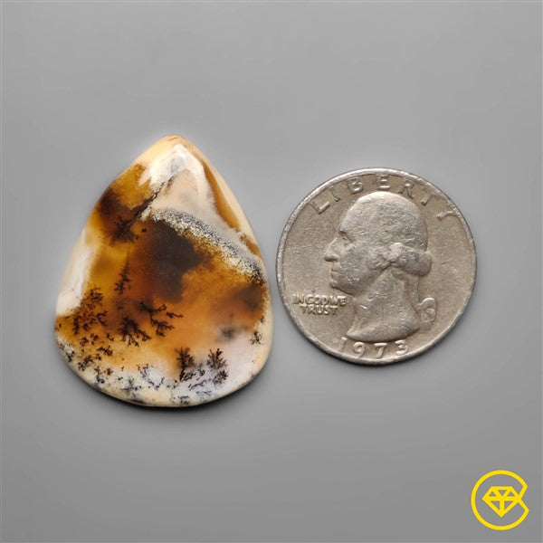 Dendritic Agate