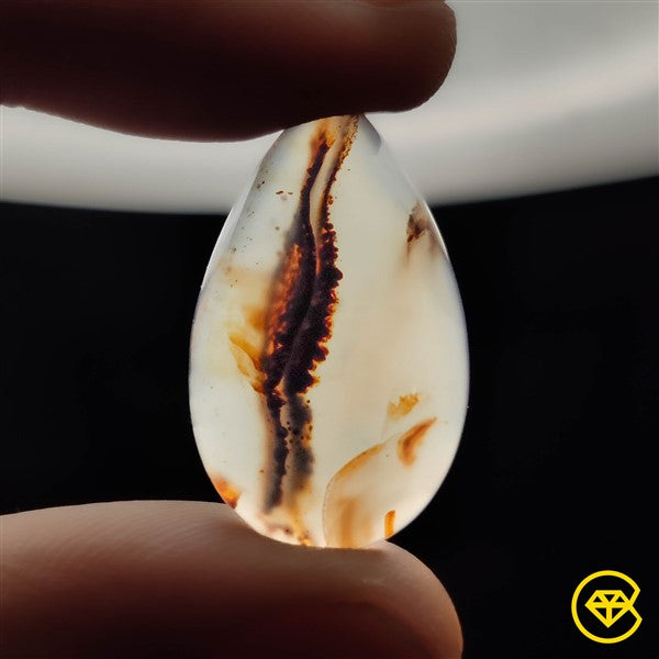 Montana Agate