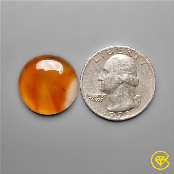 Montana Agate