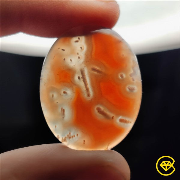 Botswana Agate