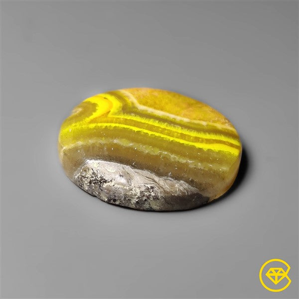 Bumble Bee Jasper