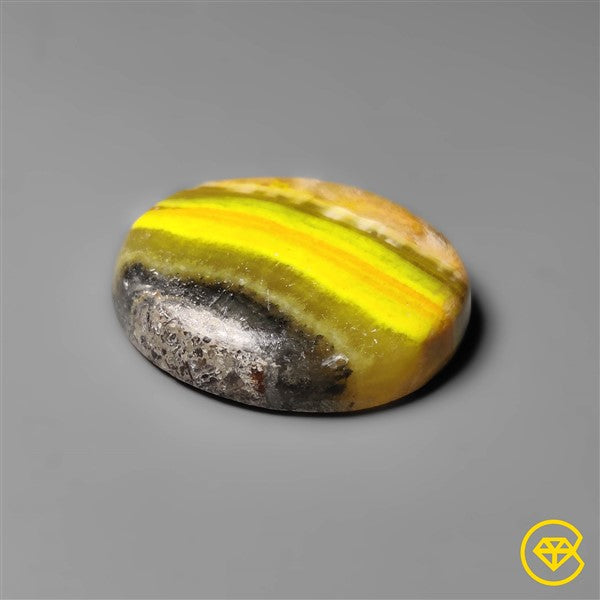 Bumble Bee Jasper