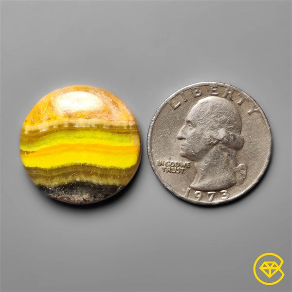 Bumble Bee Jasper