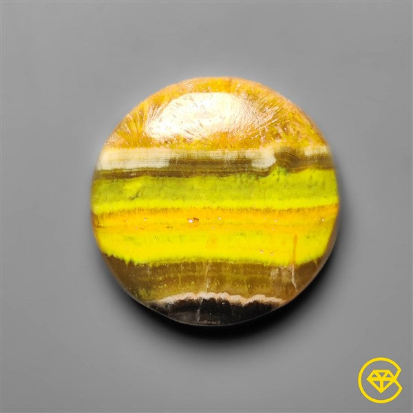 Bumble Bee Jasper