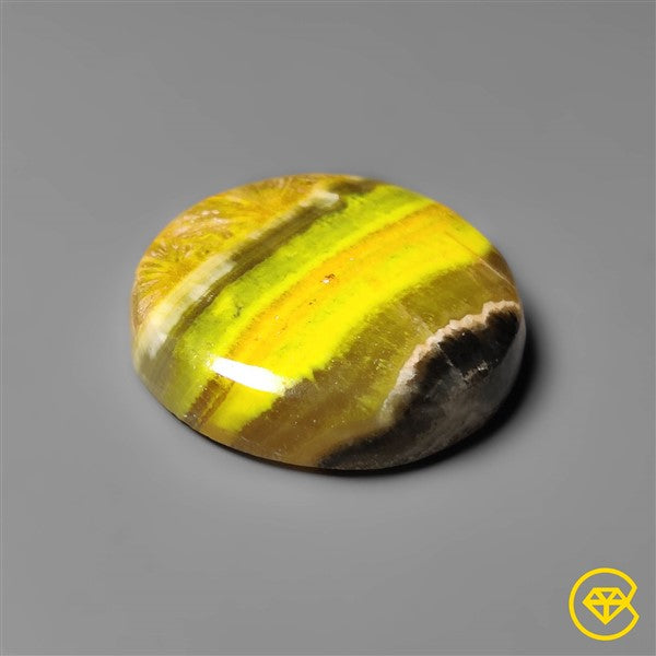 Bumble Bee Jasper