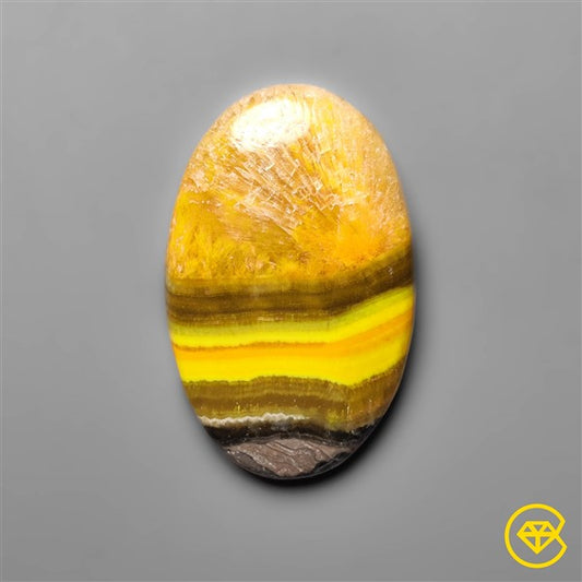 Bumble Bee Jasper