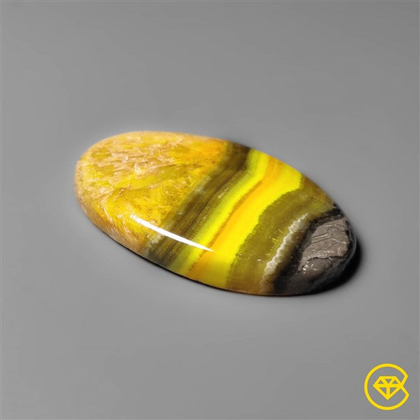 Bumble Bee Jasper