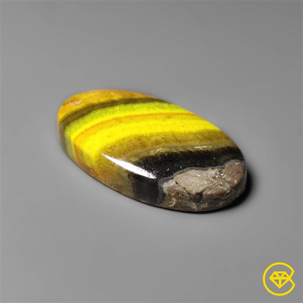 Bumble Bee Jasper