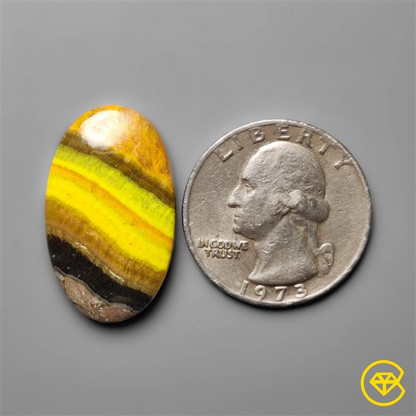 Bumble Bee Jasper
