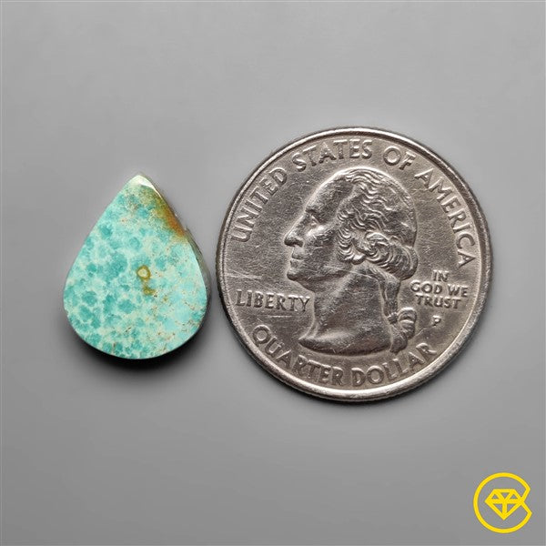 Turquoise