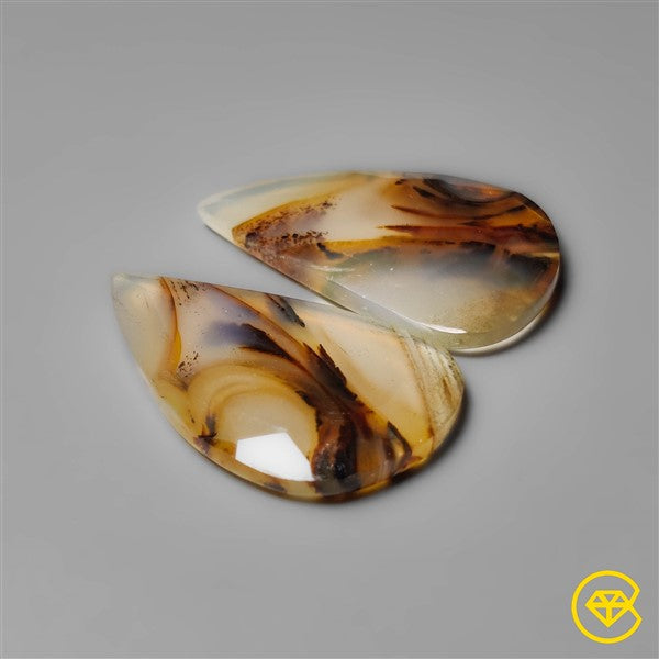 Montana Agate