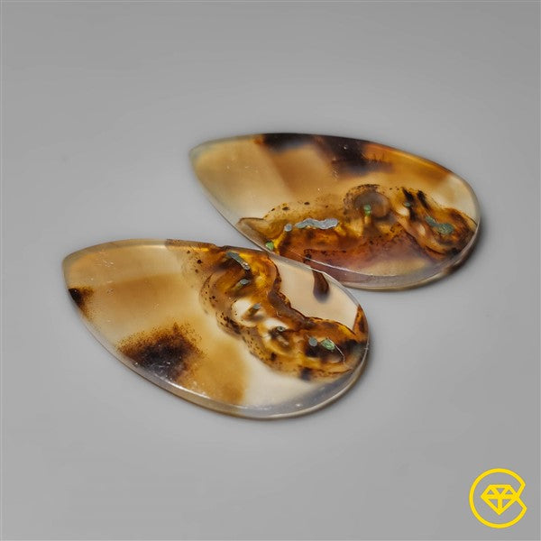 Montana Agate