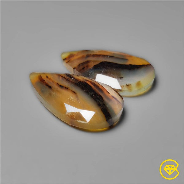 Montana Agate