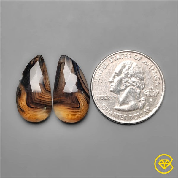 Montana Agate