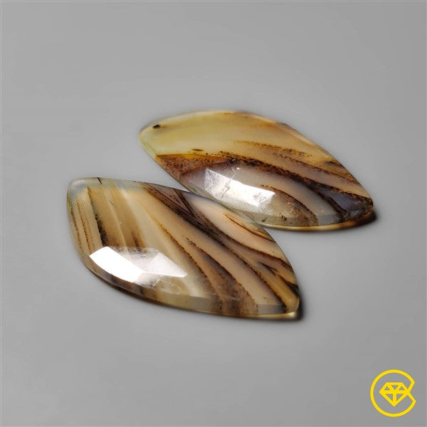 Montana Agate