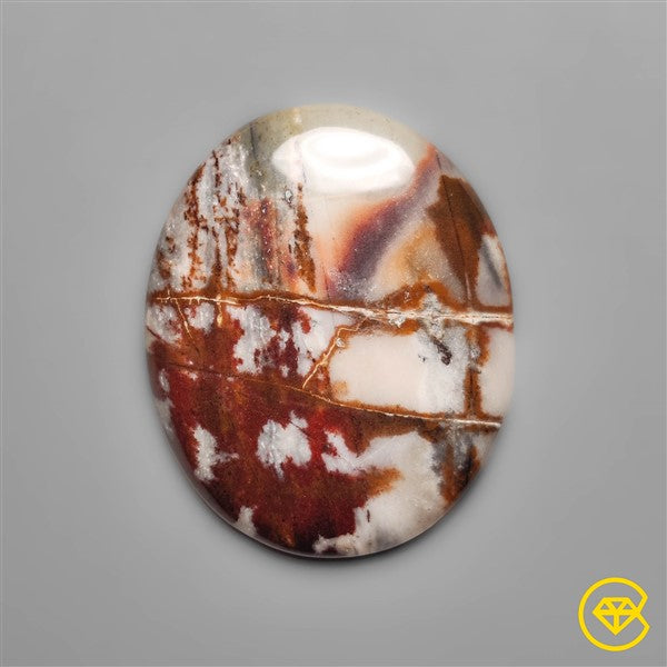 Petrified Wood