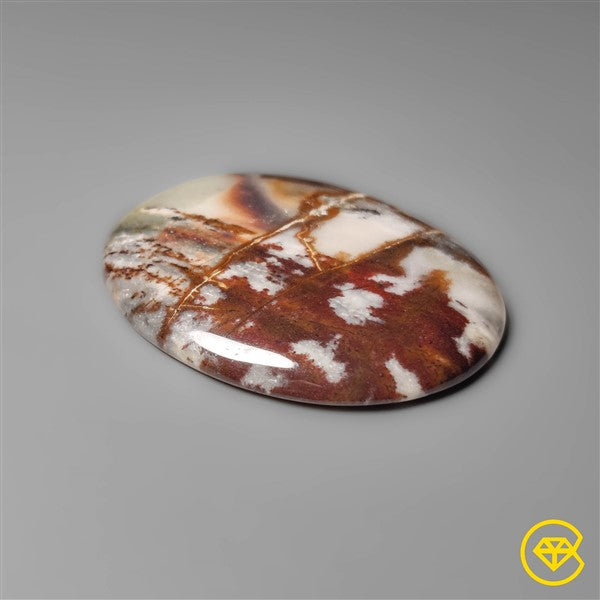 Petrified Wood