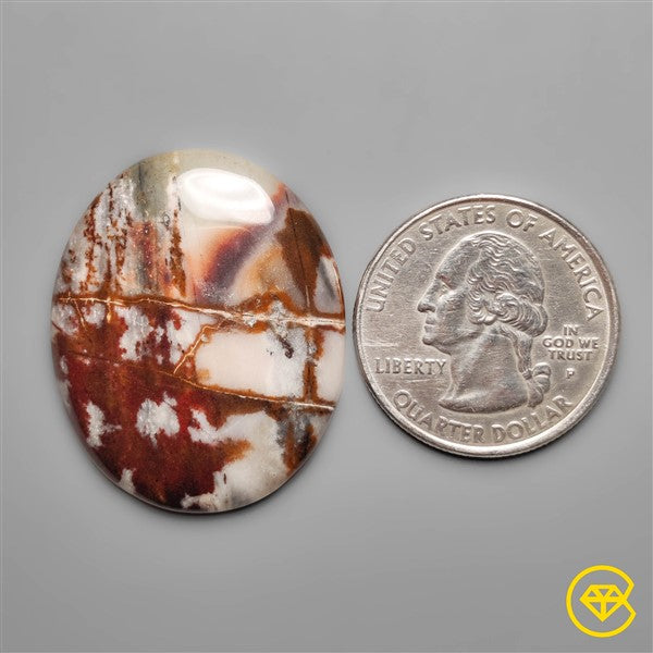 Petrified Wood