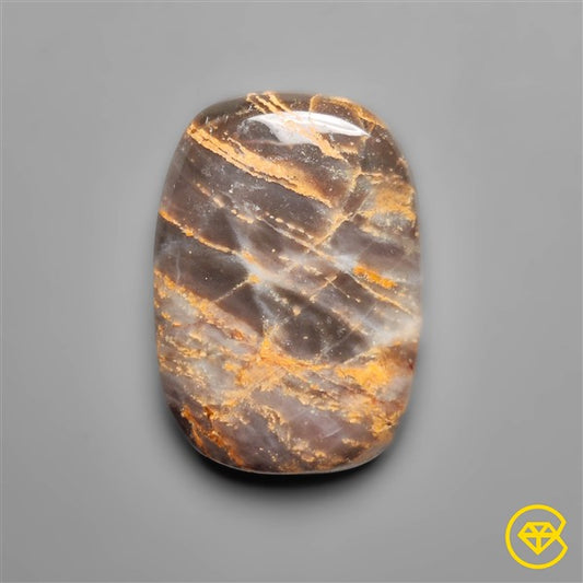 Petrified Wood