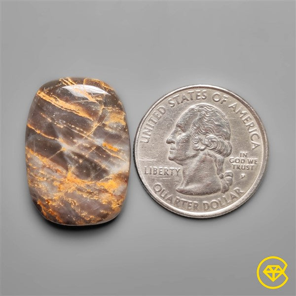 Petrified Wood