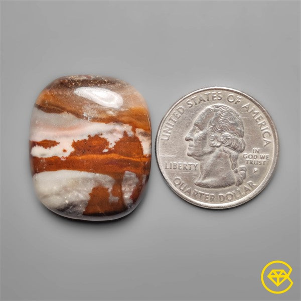 Petrified Wood