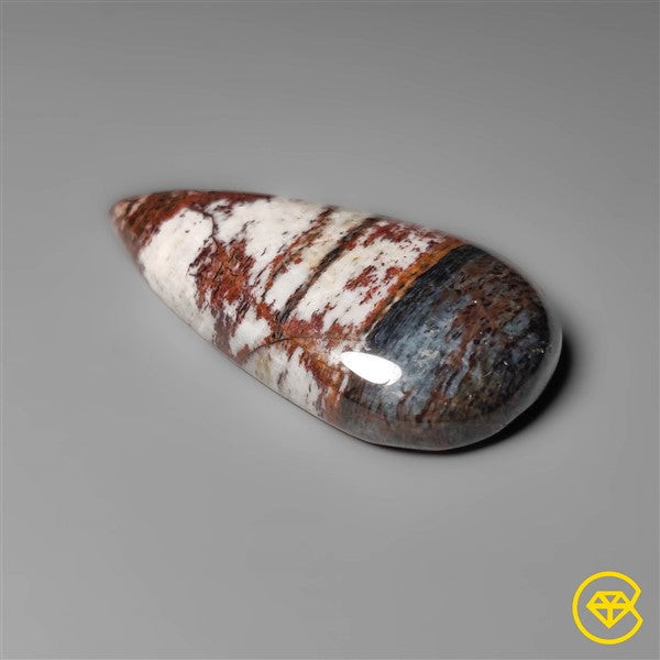 Petrified Wood