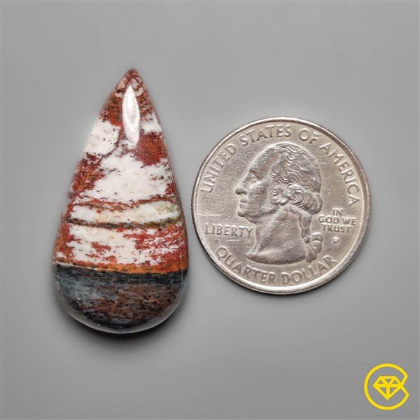 Petrified Wood