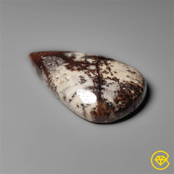 Petrified Wood