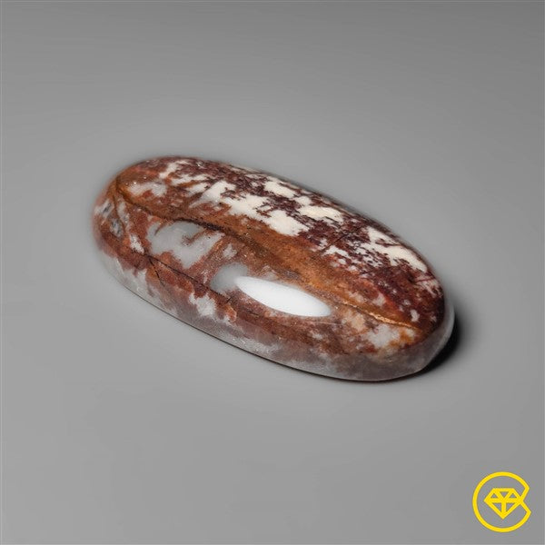 Petrified Wood