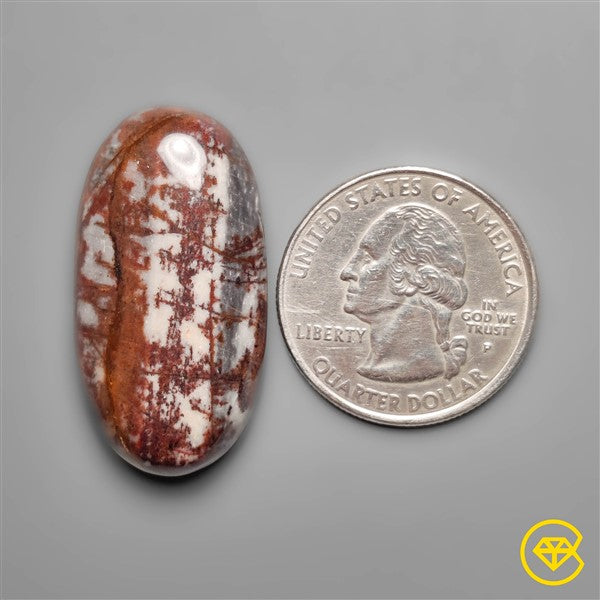 Petrified Wood