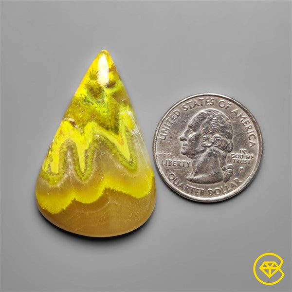 Bumble Bee Jasper,Calcite