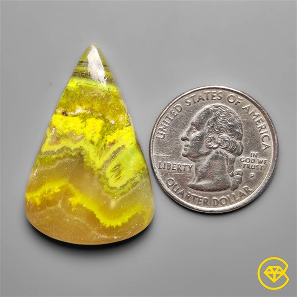 Bumble Bee Jasper,Calcite