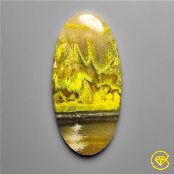 Bumble Bee Jasper,Calcite