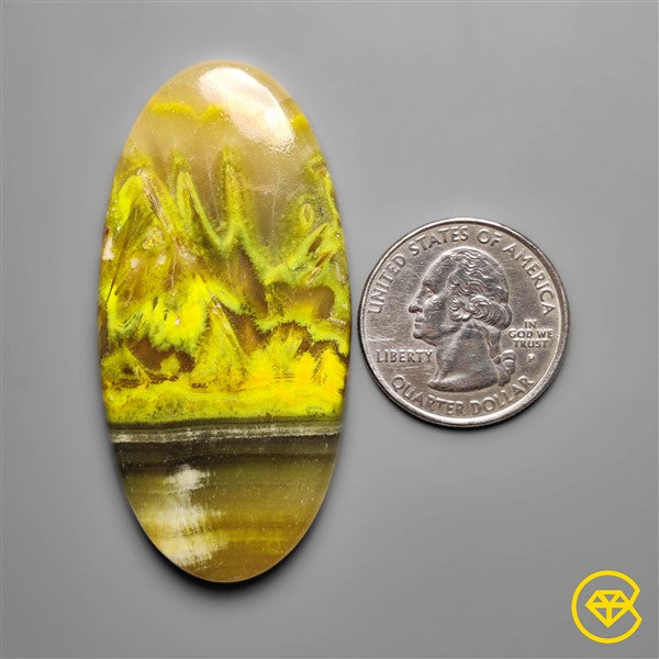 Bumble Bee Jasper,Calcite