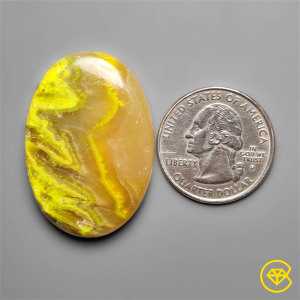 Bumble Bee Jasper,Calcite