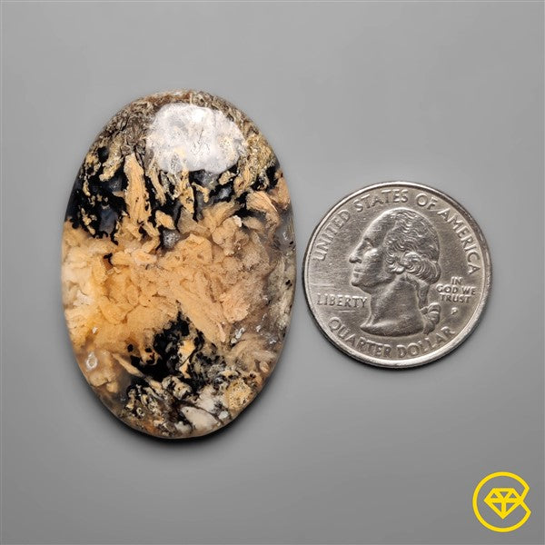 Dendritic Agate
