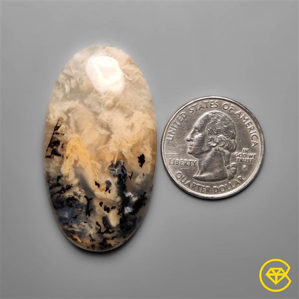 Dendritic Agate