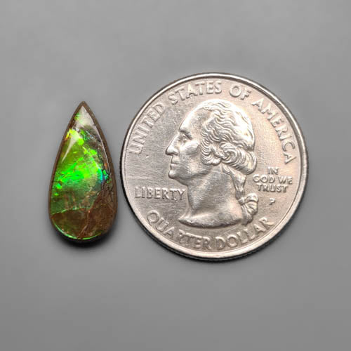 Ammolite